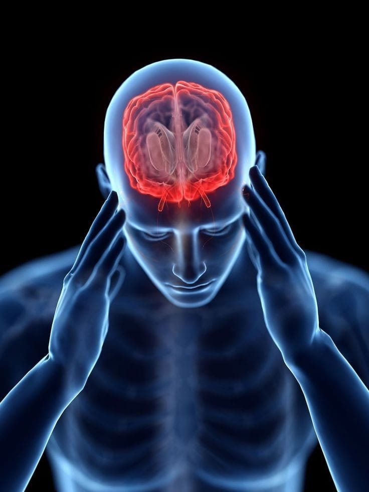 Cool Brain